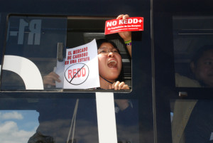 This youth activist along with others were forced onto a bus and evicted from the UN Climate Convention in Cancun, Mexico following a youth-led march out of the conference in protest of the exclusion of youth voices from the negotiations about their future. The REDD sign she is holding stands for “reduced emissions from deforestation and forest degradation,” one of the most controversial issues in the climate change debate–especially among Indigenous Peoples. Activists and youth around the world have protested REDD in solidarity with the Indigenous Peoples who would be impacted by it. photo: LangelleYouth acctivistswere forced onto a bus and evicted from the UN Climate Convention in Cancun, Mexico following a youth-led march out of the conference in protest of the exclusion of youth voices. photo: Langelle (CIC 2010)